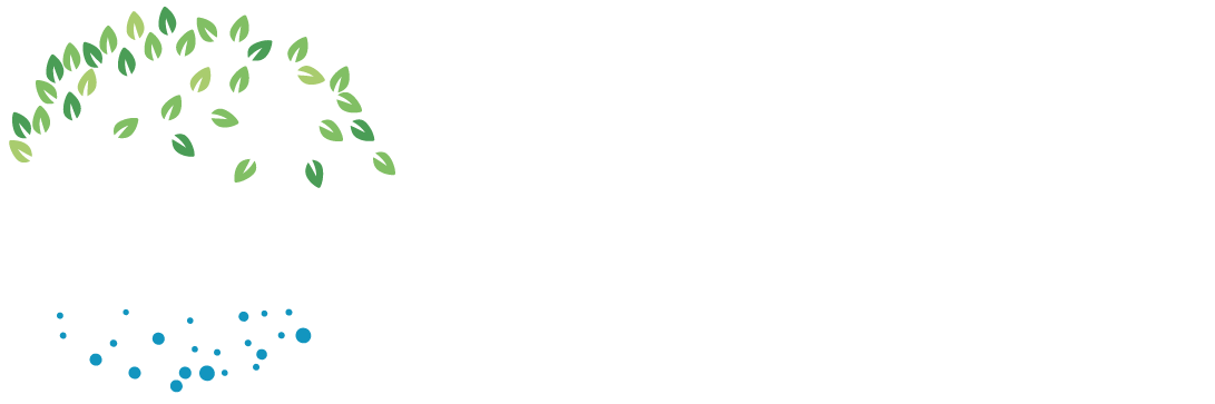 Dr. Delia Moscaliuc