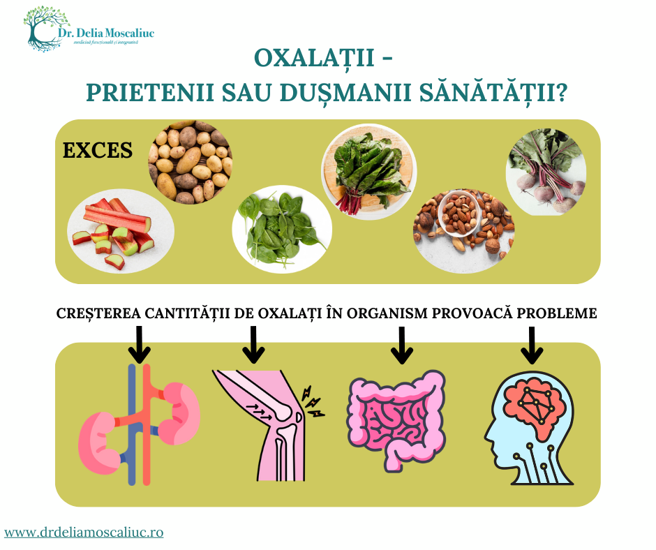 Oxalatii - prietenii sau dusmanii sanatatii?