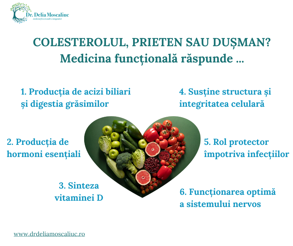Colesterolul, prieten sau dusman?