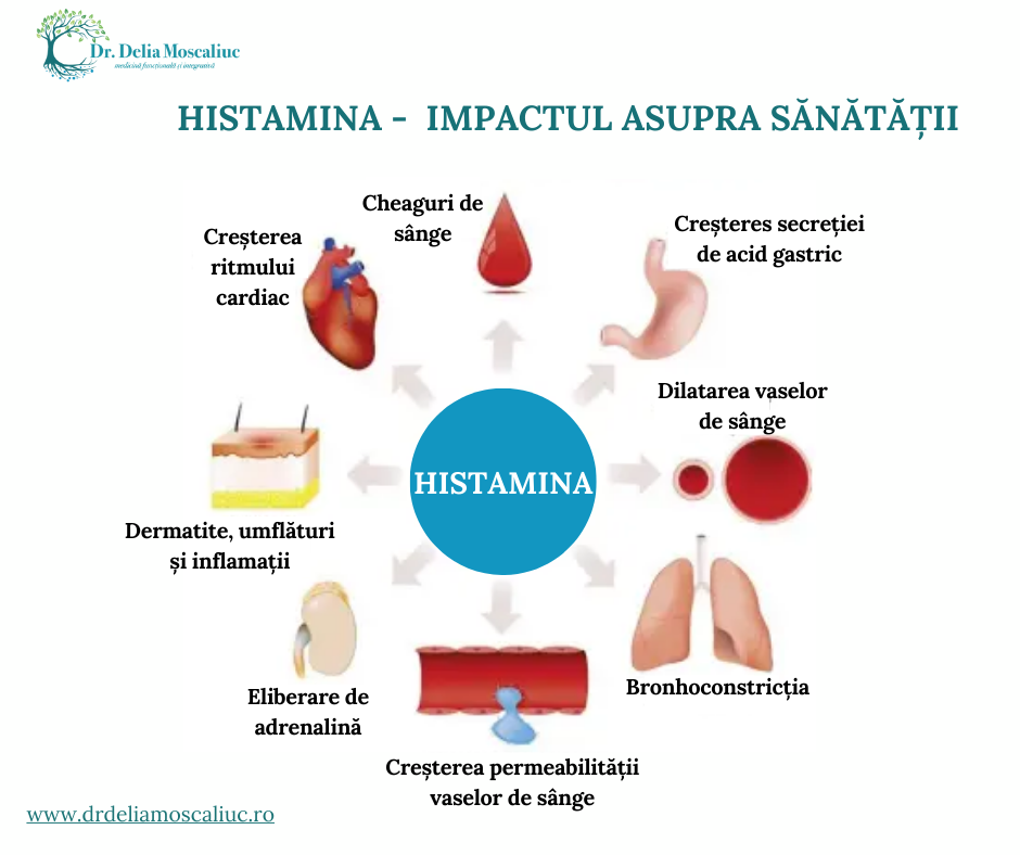 Histamina si impactul asupra sanatatii