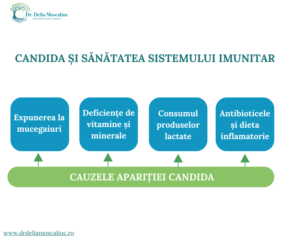 Candida si sistemul imunitar