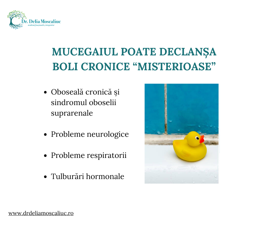 Mucegaiul si bolile cronice