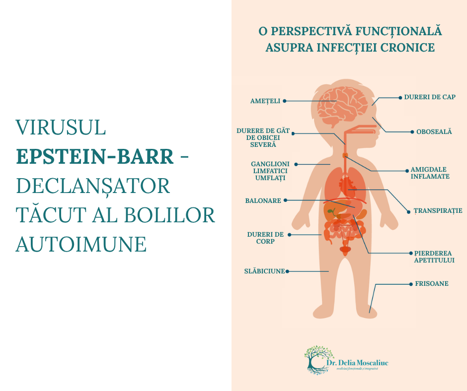 Virusul Epstein-Barr