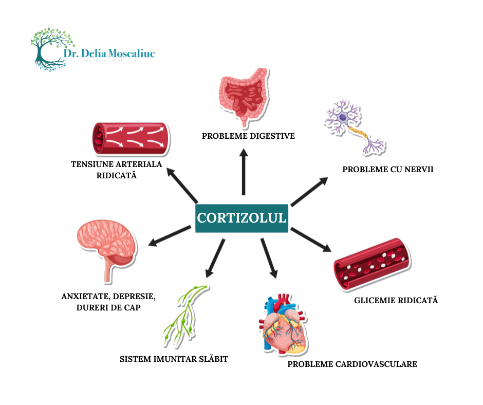 Cortizolul, hormonul stresului