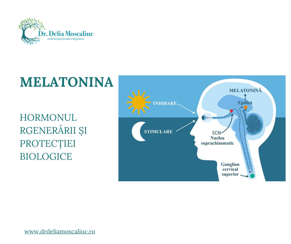 Melatonina