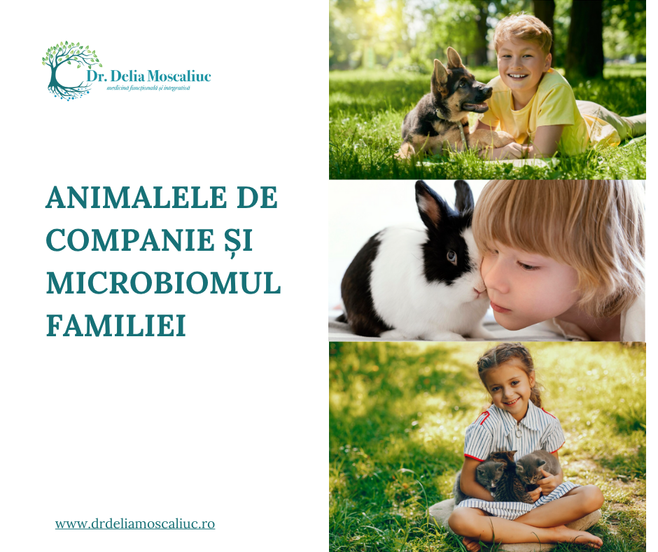Animalele de companie si microbiomul familiei