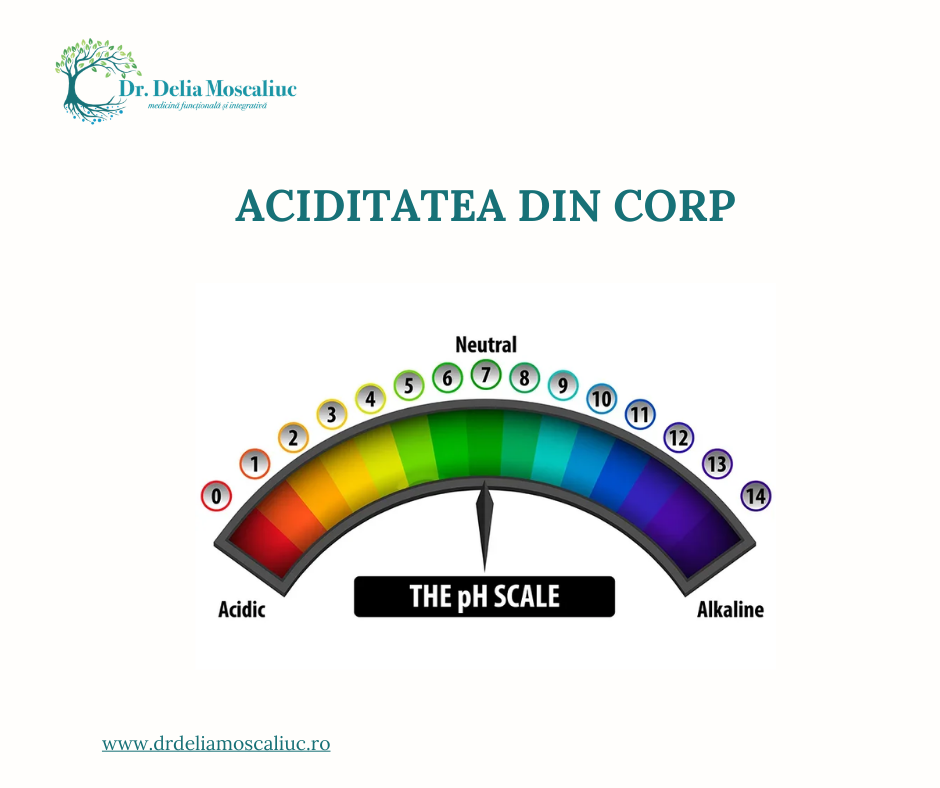 Aciditatea din corp