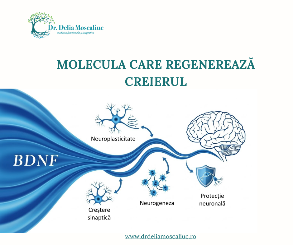 BDNF
