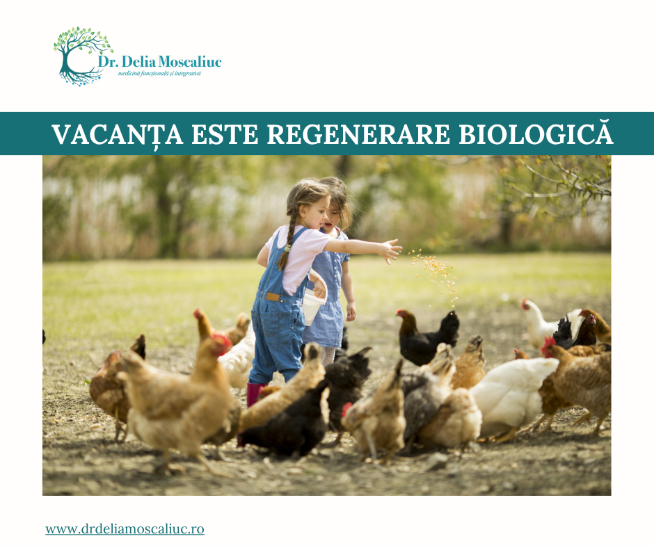 Vacanta copiilor la tara